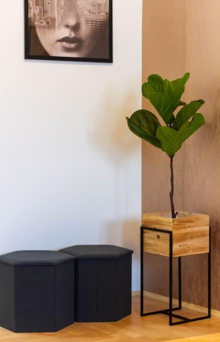 Gozsdu White Raven 3 - Terrace And Free Underground Parking Apartment บูดาเปสต์ ภายนอก รูปภาพ